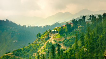 Nature in Murree Ayubia Pakistan, green tree landscape morning sunrise sunlight - Image