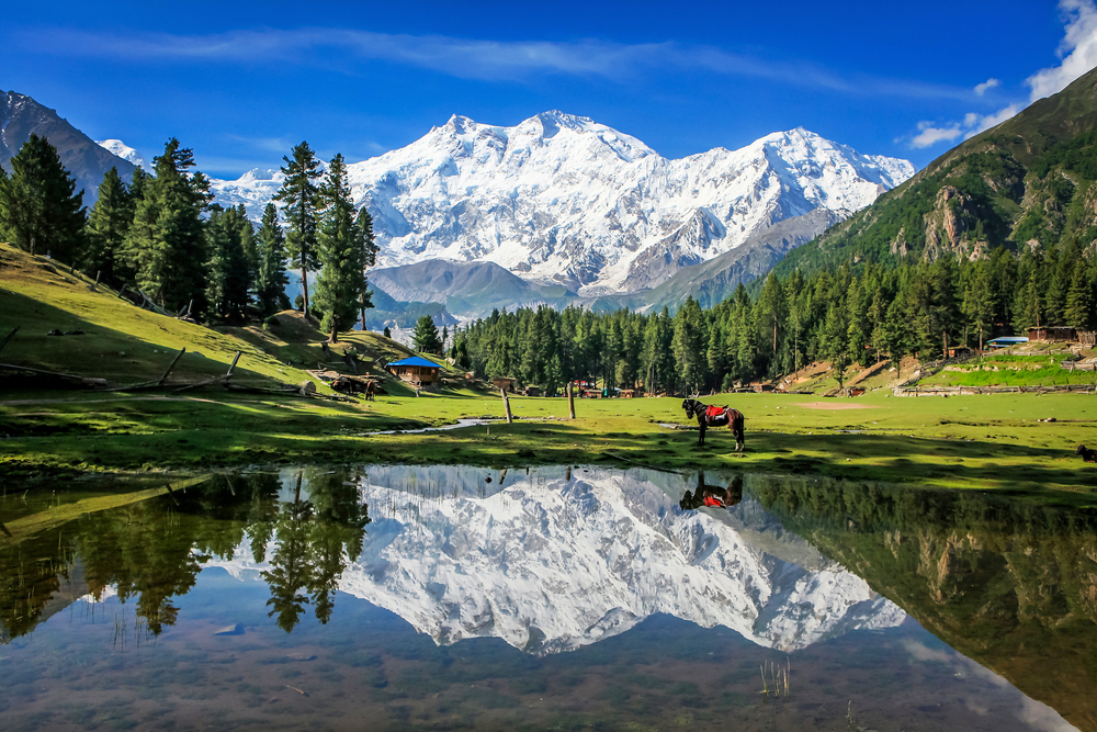 fairy meadows tour from islamabad