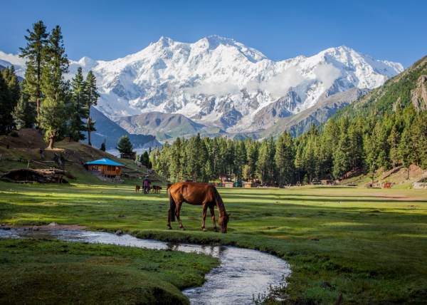 Fairy Meadows Pakistan