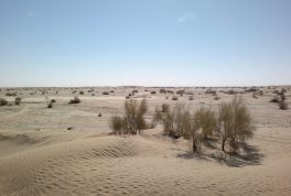 Kharan Desert