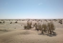 Kharan Desert