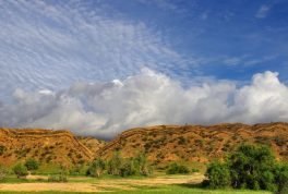 Kirthar National Park