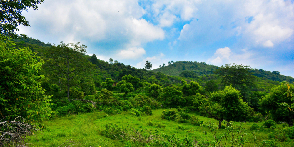 Margalla Hills National Park