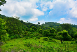 Margalla Hills National Park