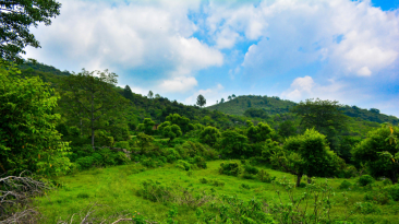 Margalla Hills National Park