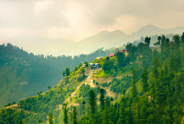 Ayubia National Park