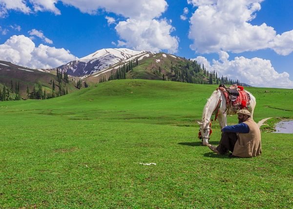 Paye Meadows