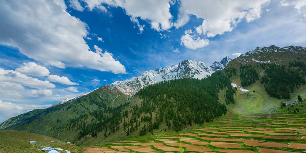 Naltar Valley