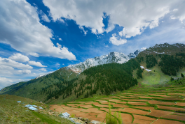 Naltar Valley