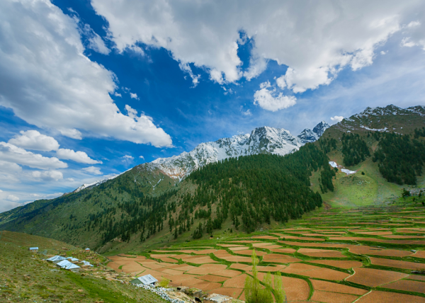 Naltar Valley