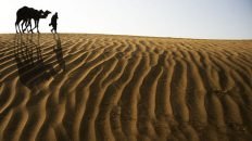 Thal Desert