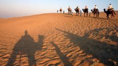 Thar Desert