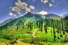 Lalazar Meadows
