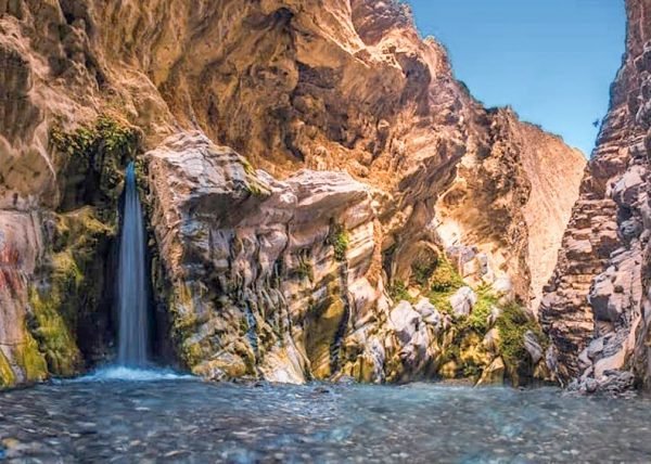 Moola Chotok